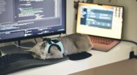 a cat wearing a harness sleeping on a computer desk