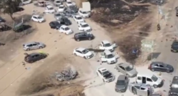 Festival Nature Party @newsefir Twitter