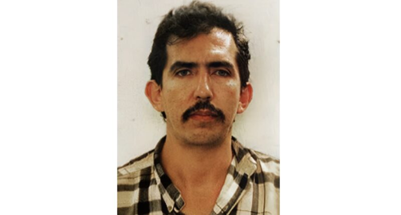 Luis Alfredo Garavito Cubillos, Archivo