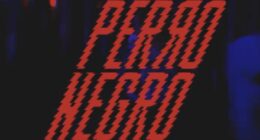 Perro negro - @clubperronegro Instagram