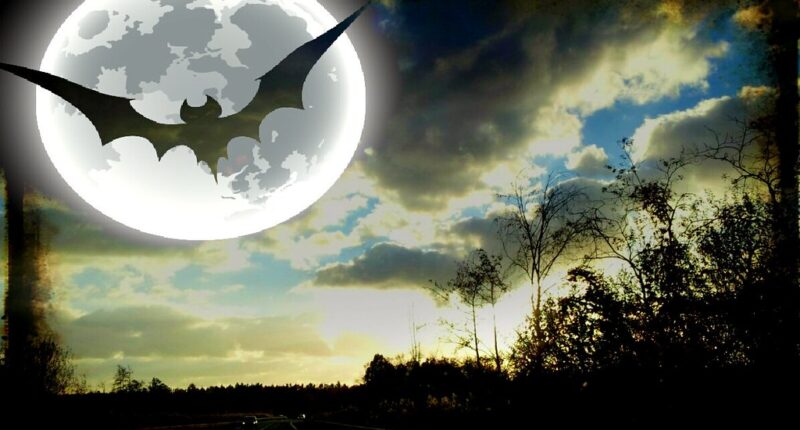 Have a nice Hallowen !