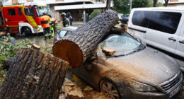 sin reservas - @sinreservas620 Twitter