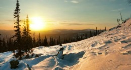 José Antonio Bustelo - @DivuLCC Twitter