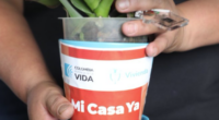 Minvivienda - @Minvivienda Twitter