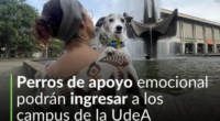 Universidad de Antioquia - @UdeA Twitter