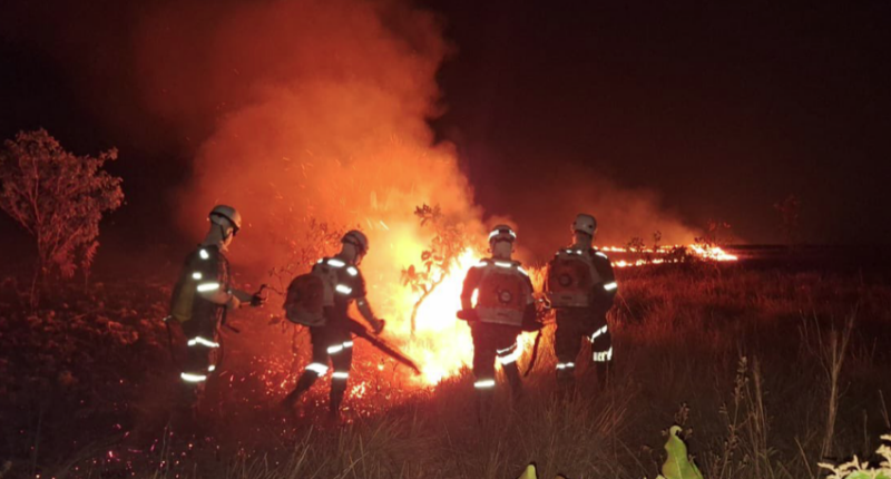 Fuerzas Militares de Colombia @FuerzasMilCol Twitter