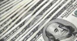 Photo by John Guccione