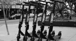 Spin Scooters in Isla Vista