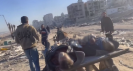 manuel hernández borbolla - @manuelhborbolla Twitter