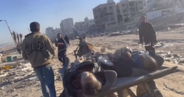 manuel hernández borbolla - @manuelhborbolla Twitter