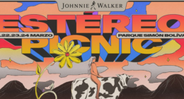 festereopicnic - @festereopicnic Instagram