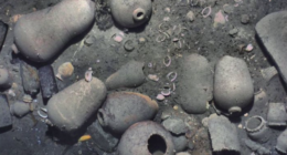 galeonsanjose - @galeonsanjose Instagram