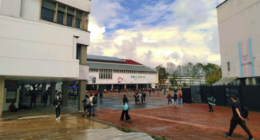 unaloficial - @unaloficial Instagram