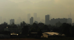 Universidad Nacional de Colombia - @PrensaUNAL Twitter