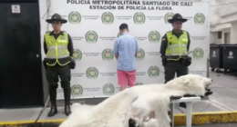 Policía Metropolitana Santiago de Cali @PoliciaCali Twitter