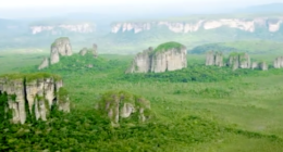 Parques Nacionales Naturales de Colombia - @ParquesColombia Twitter