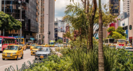 Paula Palacio Salazar - @PalacioPaula Twitter