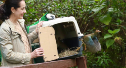 Adriana Soto Carreño - @AsotoAdriana Twitter