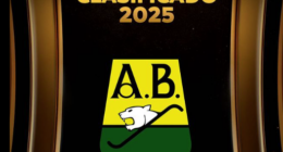 libertadores - @libertadores Instagram