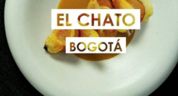 elchato_rest - @elchato_rest Instagram