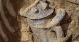 IDU Bogotá - @idubogota Twitter