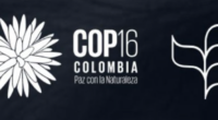COP 16 Colombia - @COP16Colombia Twitter
