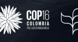 COP 16 Colombia - @COP16Colombia Twitter