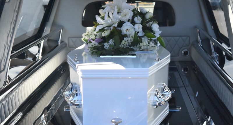 Photo by carolynabooth