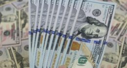 Photo by Sandra Gabriel