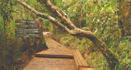 Parques Nacionales Naturales de Colombia - @ParquesColombia Twitter