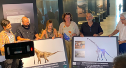 Iván Narváez - @inarvaezp Twitter