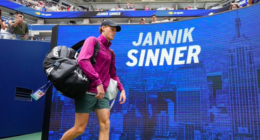 janniksin - @janniksin Instagram