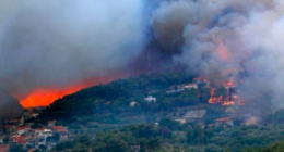 Cpambiente - @cpambiente Twitter