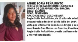 Theseus Foundation - @Theseusglobal Twitter