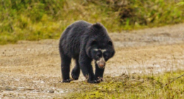 Arley Muñoz - @Arleymsarmiento Twitter