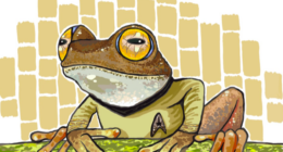 Dr Mark D. Scherz - @MarkScherz Twitter