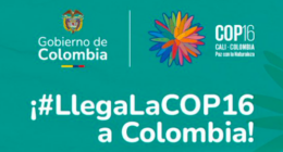COP16 COLOMBIA ???????? - @COP16Oficial Twitter