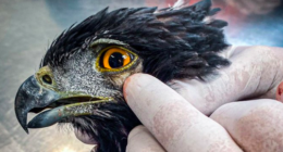 Jean Paul Hernández - @JeanPaulHnn Twitter