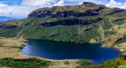 Lucy Amparo Guzmán G - @luamgugo Twitter