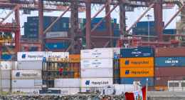 Photo by Daniel Reynaga