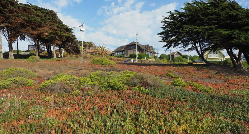 Verano en Rocas de Santo Domingo