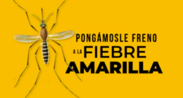 Saludtolima - @Saludtolima Twitter