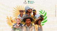Agencia Nacional de Tierras - @AgenciaTierras Twitter