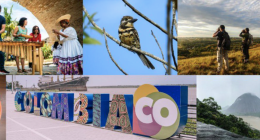 Gilberto Salcedo - @g_salcedo_r Twitter