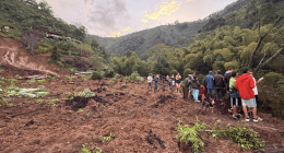 ViasCaldas - @viascaldas Twitter