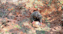 Mindefensa - @mindefensa Twitter