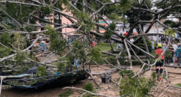 Julián Vásquez - @Julian_VasquezP Twitter