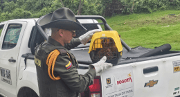 Secretaría de Ambiente - @Ambientebogota Twitter