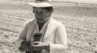 Hivos América Latina - @HivosAmLatina Twitter