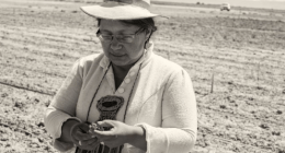 Hivos América Latina - @HivosAmLatina Twitter